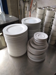 plates tafelstern 
